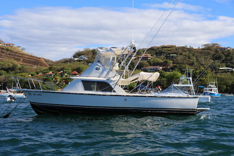 31 ft Bertram called AFISHIANADOS