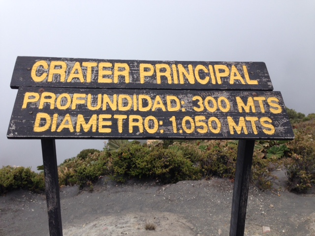 photo 2 (11)