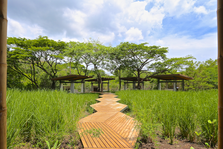 Hotel El Mangroove 11