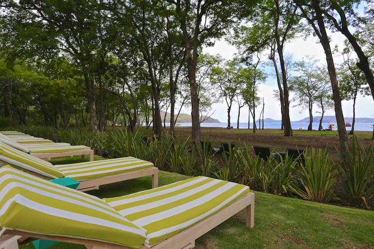 Hotel El Mangroove 18