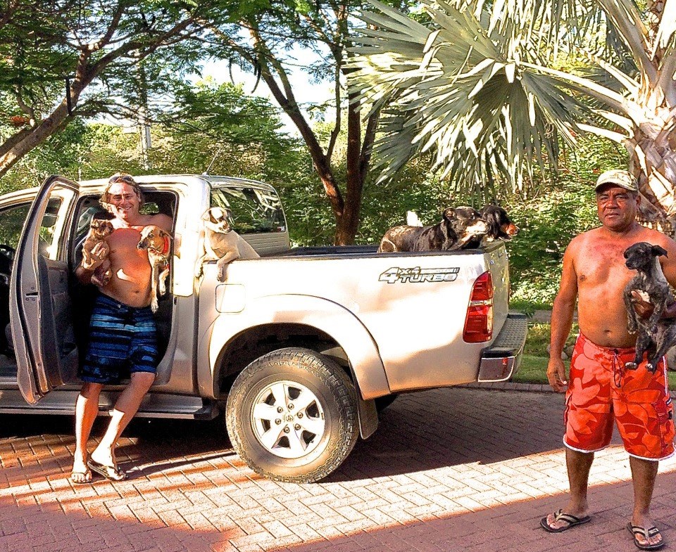 Dog Day in Costa Rica crop