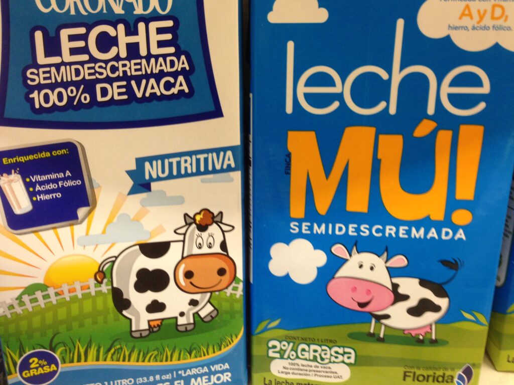 cows on milk carton in Costa Rica