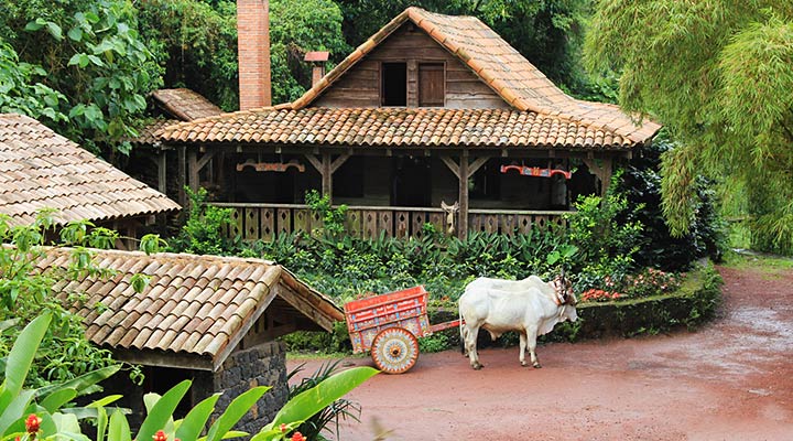 Costa Rica Typical Home