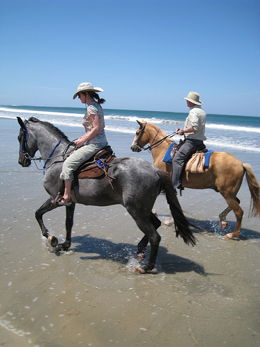 horseback costa rica