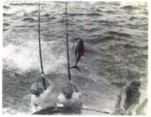 Playas del Coco Sportfishing 1960