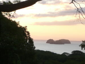 2009-11-19_17.13.52